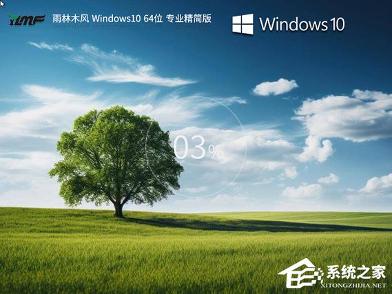win10专业版精简版下载