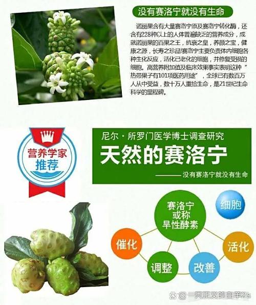 艾多美诺丽果汁真的有那么神奇吗缩略图