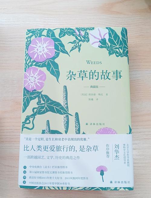 杂草的故事讲述的什么