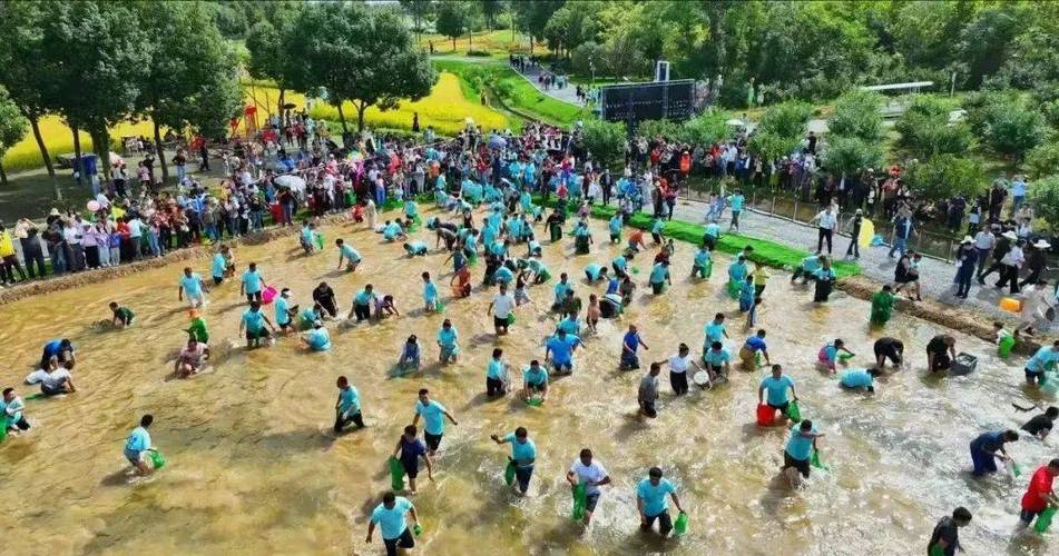 混水摸鱼和浑水摸鱼游戏截图
