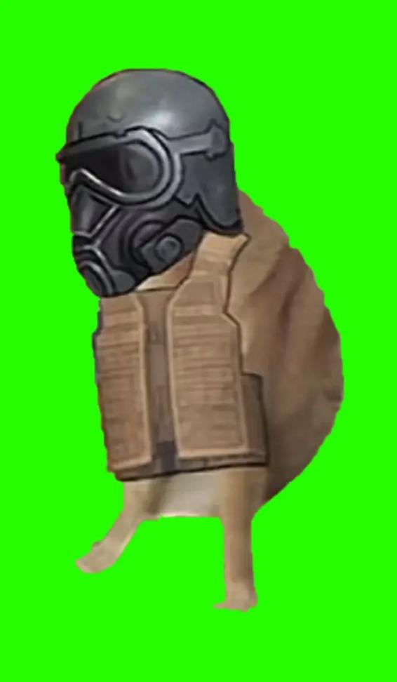 地铁逃生pubg下载绿色资源网