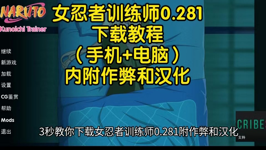 女忍训练师作弊码缩略图