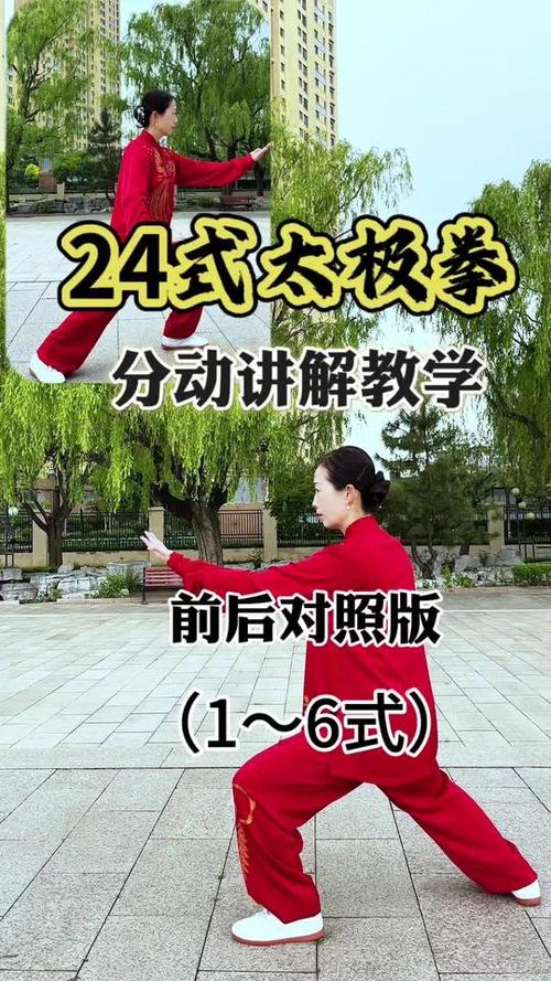 初学太极拳入门视频缩略图