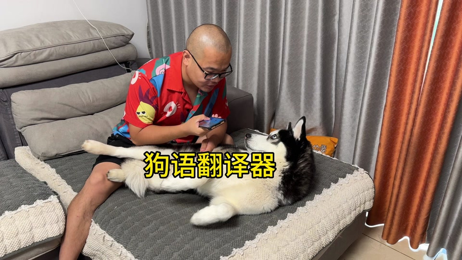 在线翻译狗语缩略图