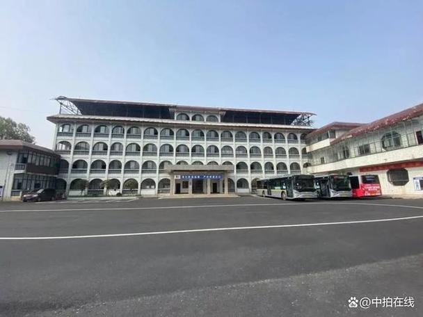 中拍在线国际拍卖湖北有限公司缩略图