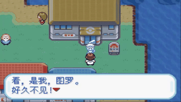口袋妖怪锆石汉化游戏截图