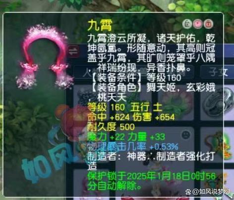 逆鳞套和金刚套哪个伤害高游戏截图