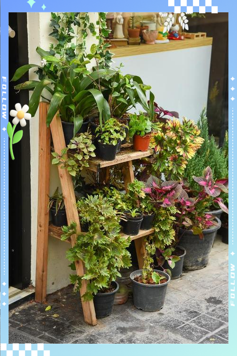 花简空间.逸游戏截图