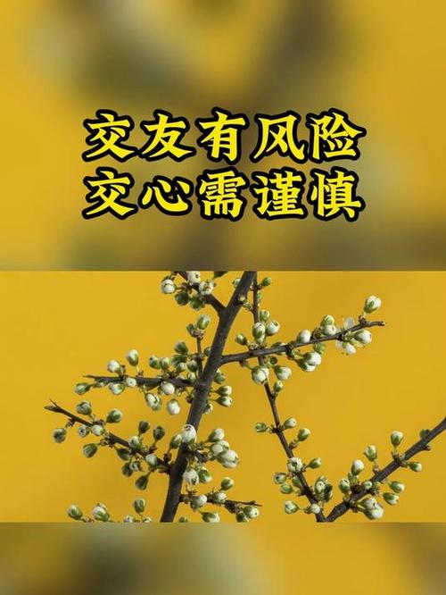 交友不交心