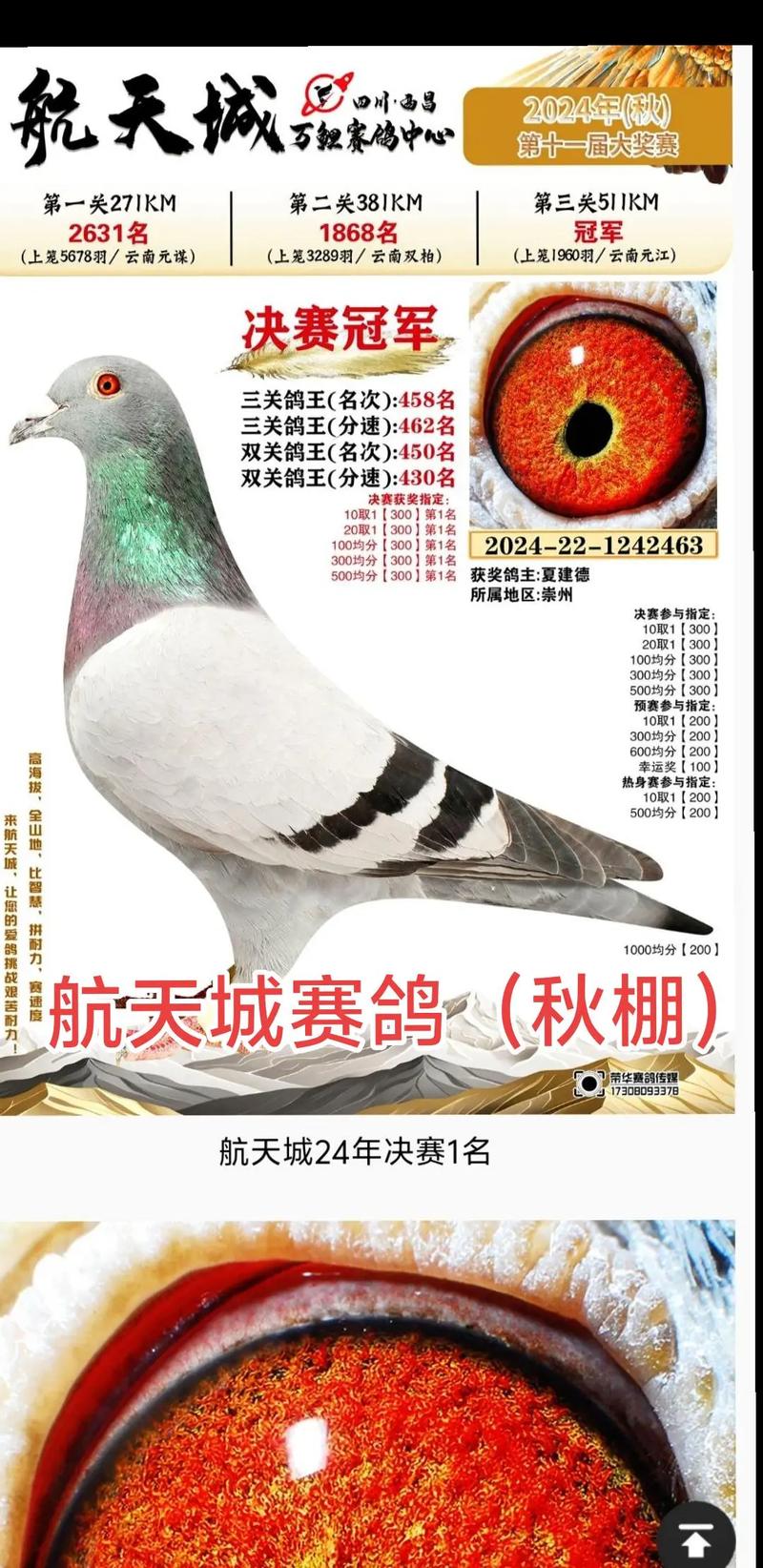 各地公棚信鸽信息网公棚DPS缩略图