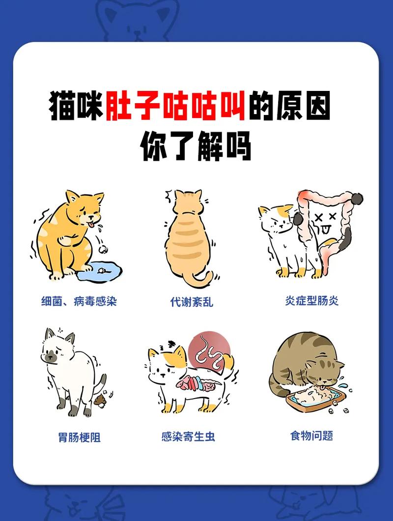 猫咪咕咕咕咕响到底是为什么缩略图