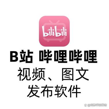 下载哔哩哔哩视频的软件缩略图