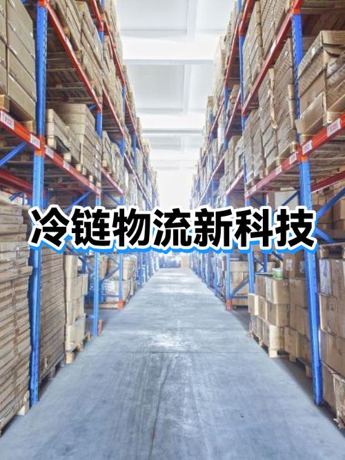 怎么寄冷链快递