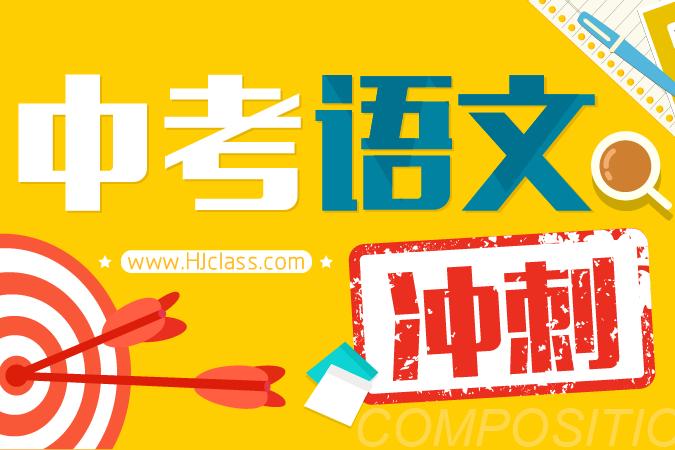 中考状元2019最新版语文答案