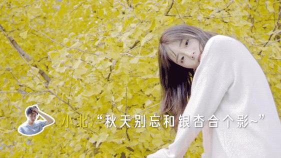 不完美女友小说免费阅读缩略图