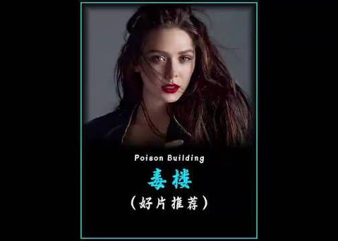 毒楼1-40集免费