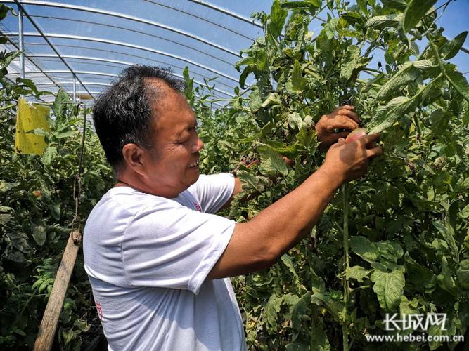 种菜领现金缩略图