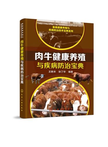 肉牛的养殖周期及利润