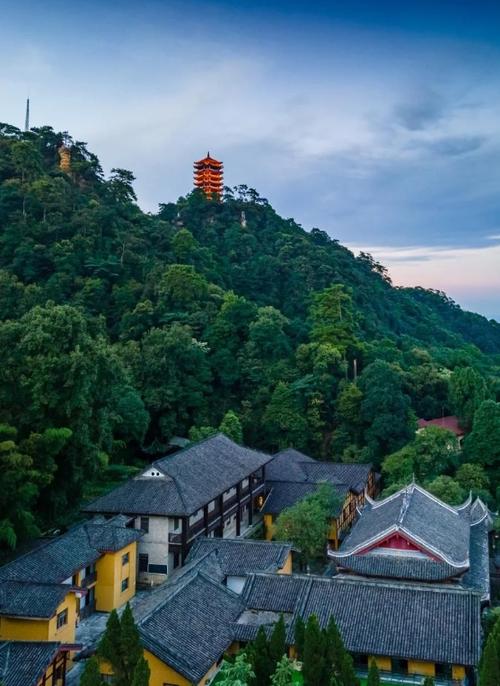 重庆山游戏截图