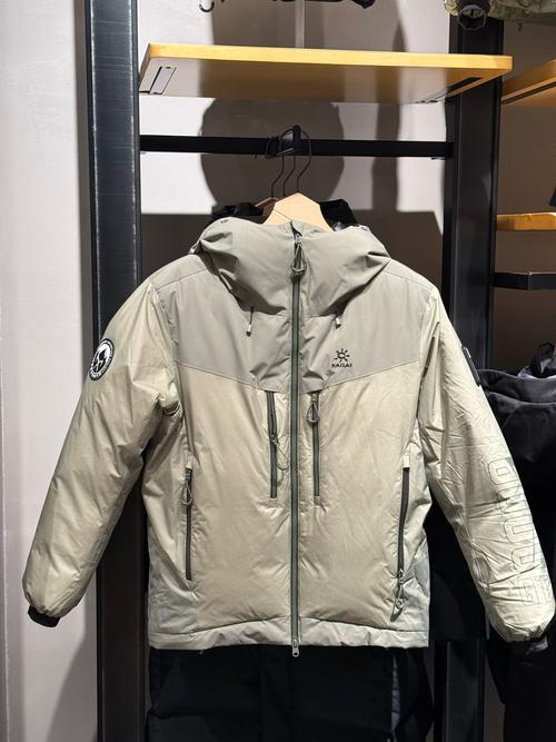 冰山的logo是啥牌子羽绒服
