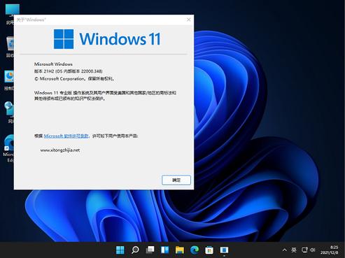 windows11专业版缩略图