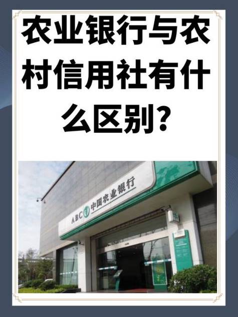 农村信用社也叫农村商业银行吗缩略图