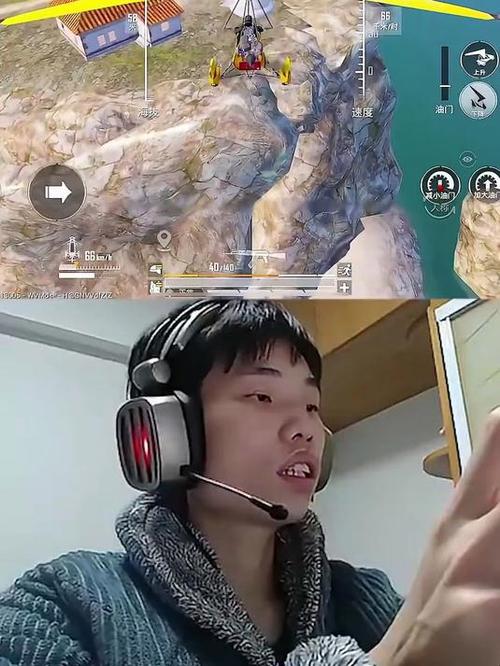 鲨鱼top和平精英画质缩略图