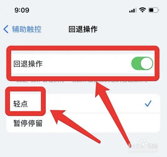 苹果怎么辅助触控设置游戏截图