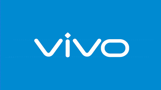vivo什么意思中文意思缩略图