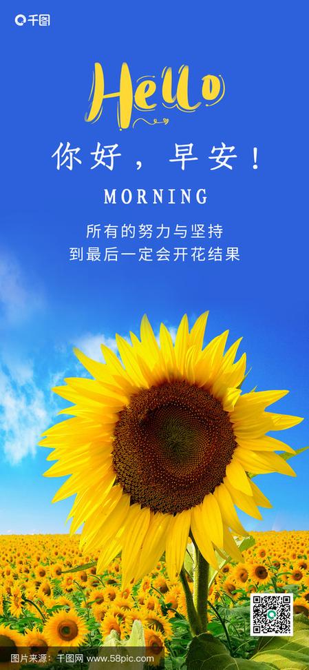向日葵朋友圈配文字