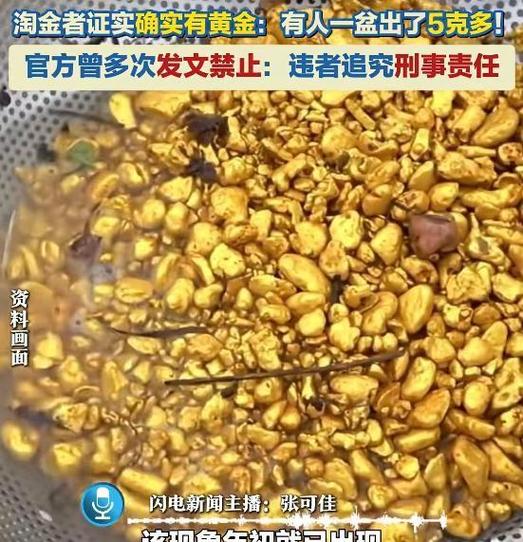 多淘金app下载缩略图
