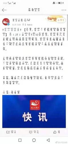 雪豹借钱app游戏截图