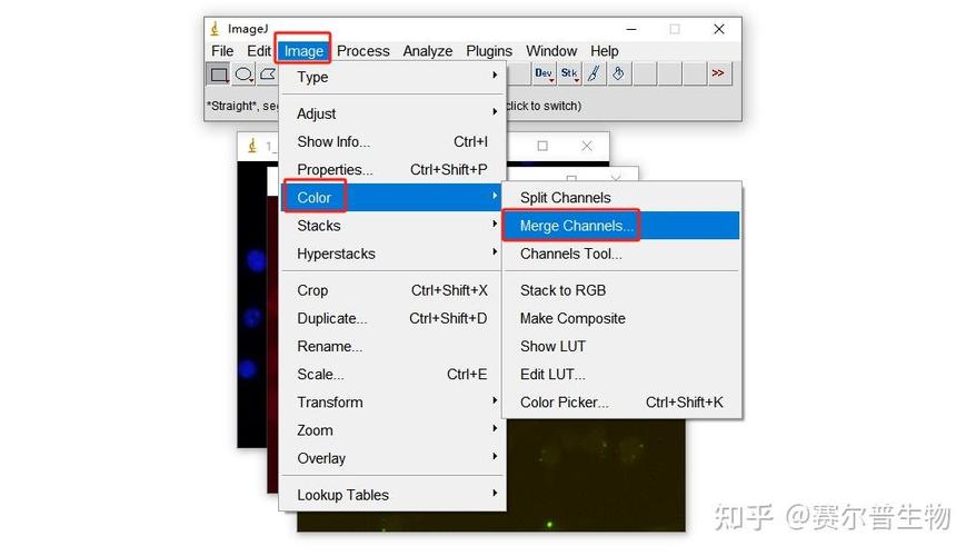 imagepro软件怎么打不开