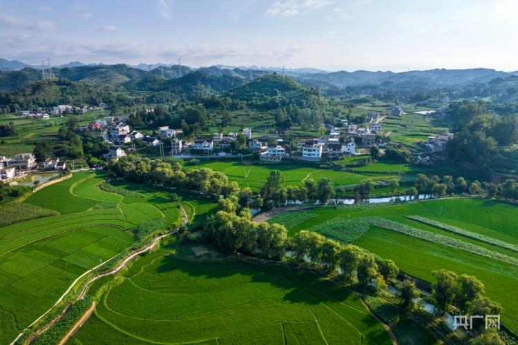 summer夏日乡村攻略游戏截图