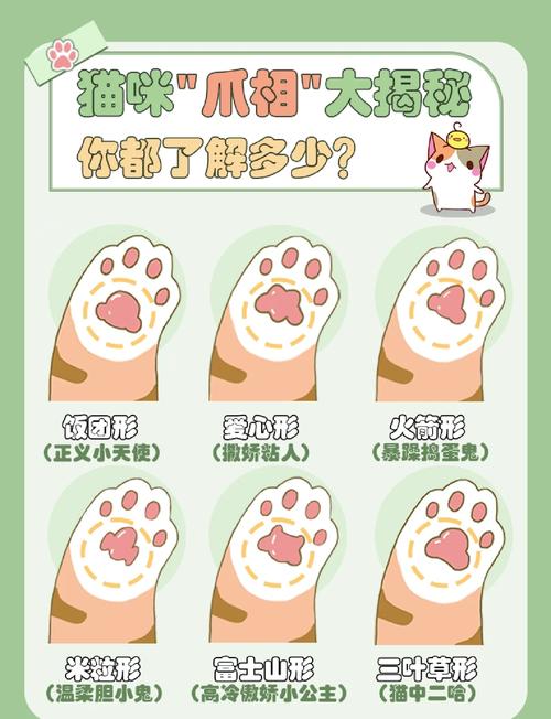 猫爪app的评价机制