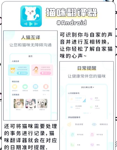 猫咪翻译器对话