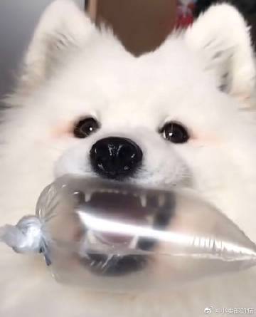 财神猫小卖铺领红包