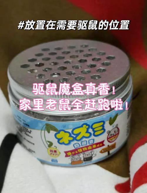 鼠盒子真香缩略图