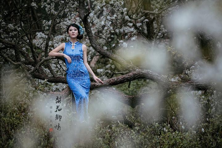 梨花村孽缘情全文免费阅读缩略图