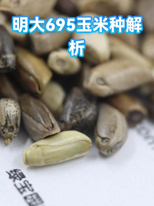 抗性和耐性的区别缩略图