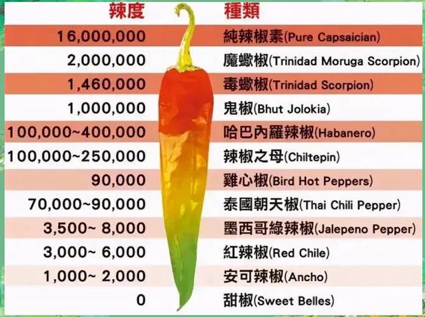 印度s17辣椒辣度多少缩略图