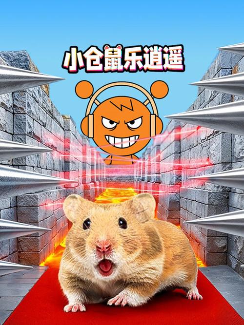 小仓鼠100集免费播放