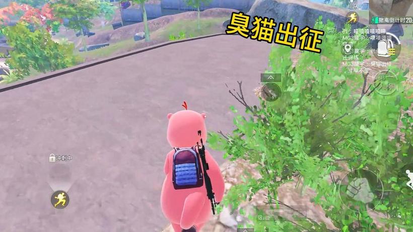 和平精英臭猫缩略图