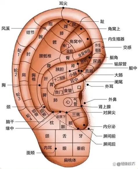 喷嚏图卦2020101缩略图