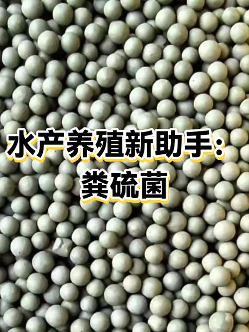 农村水产养殖