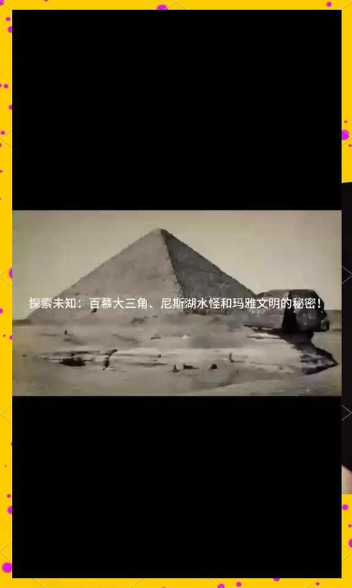 enigma最新版本下载缩略图