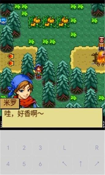 宠物王国4找导游任务