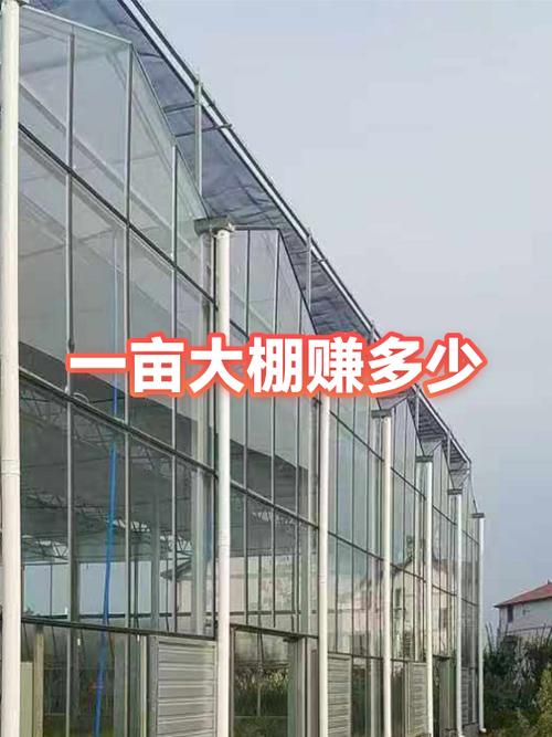 贩卖草莓挣钱吗