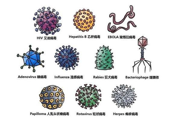 病毒BF图片缩略图
