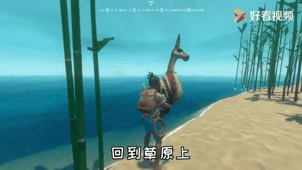 木筏求生羊